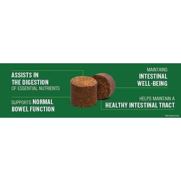Probiotic Soft Chew Supplement for Dogs J5026