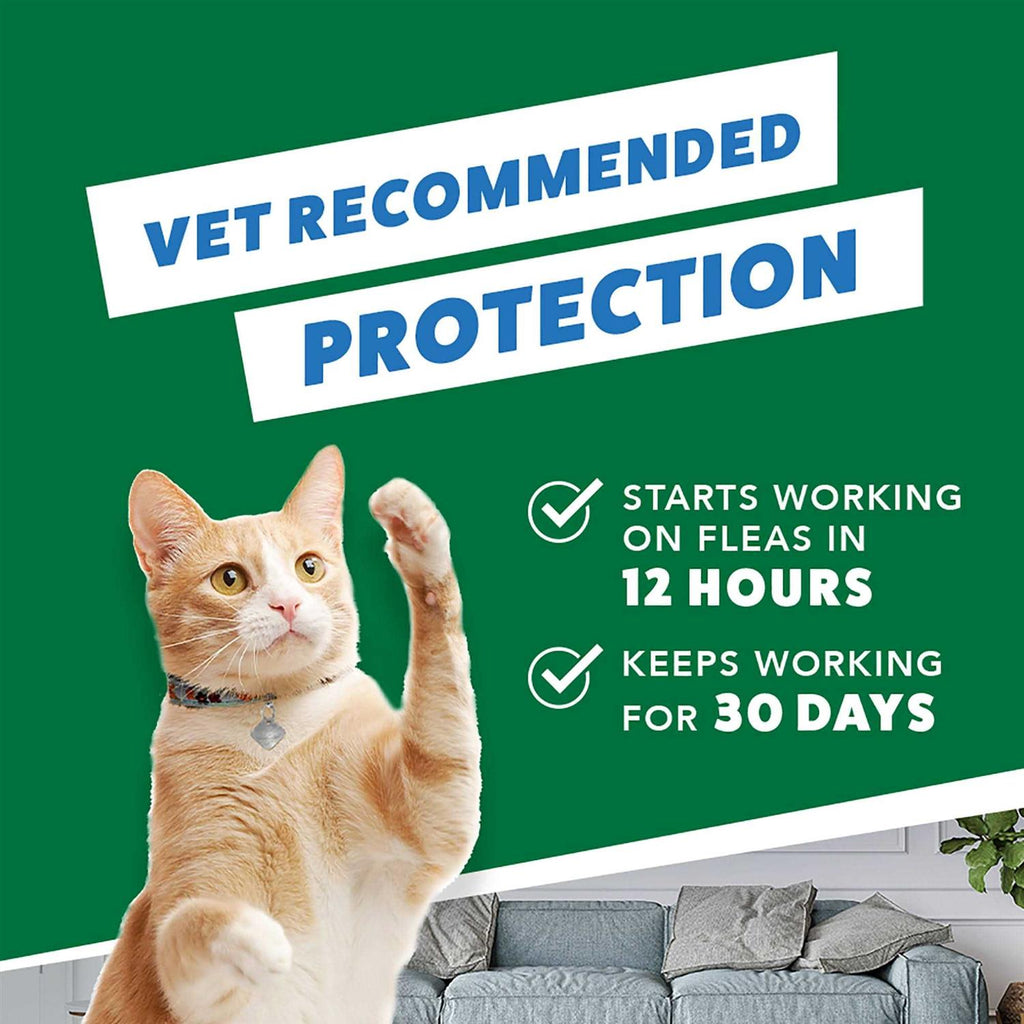 Flea Treatment Small Cats S914231