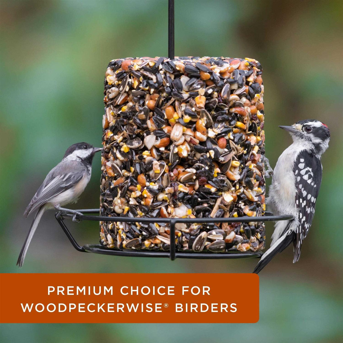 Woodpecker Snack Log Wild Bird Feed C63525