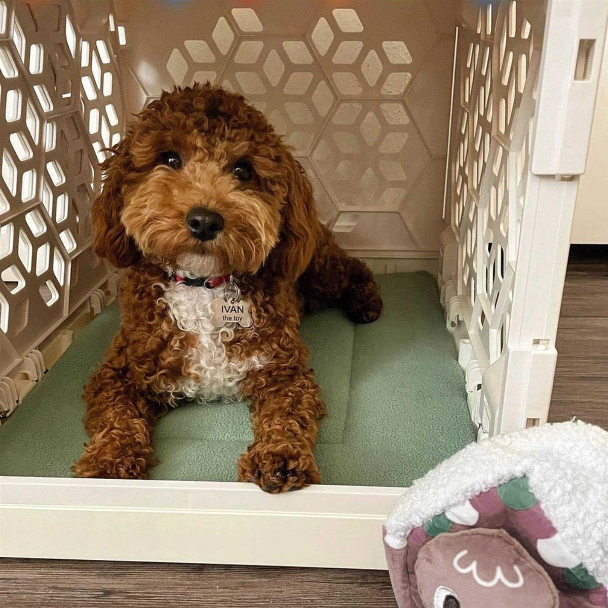 Cat and Dog Crate Pad S430