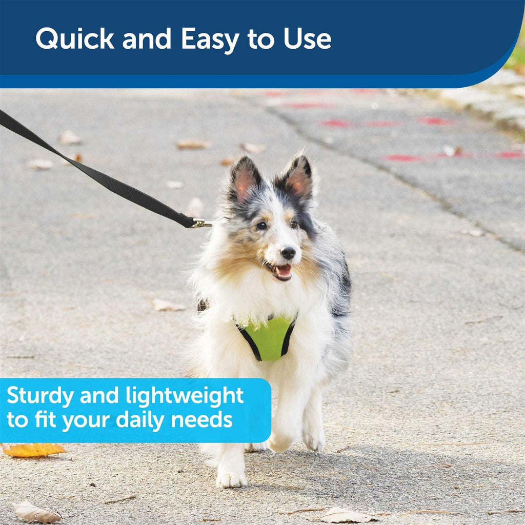 Nylon Dog Leash E41888