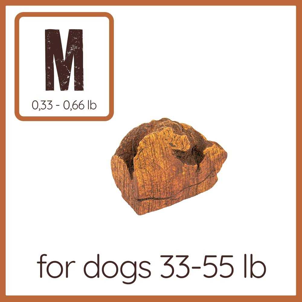 Chew Root for Dogs N617