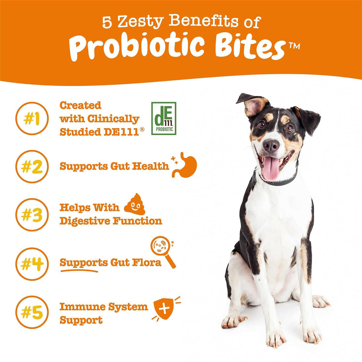 Probiotic Bites Digestive Supplement for Dogs Chicken 90 Soft Chews X584093