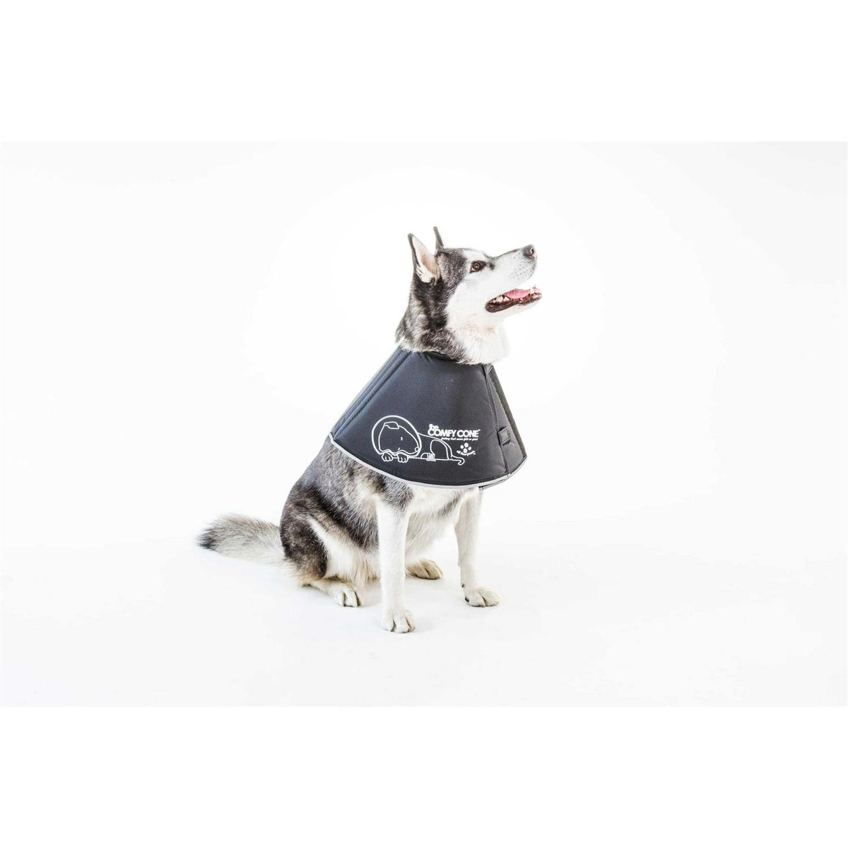 Comfy Cone Collar G21580