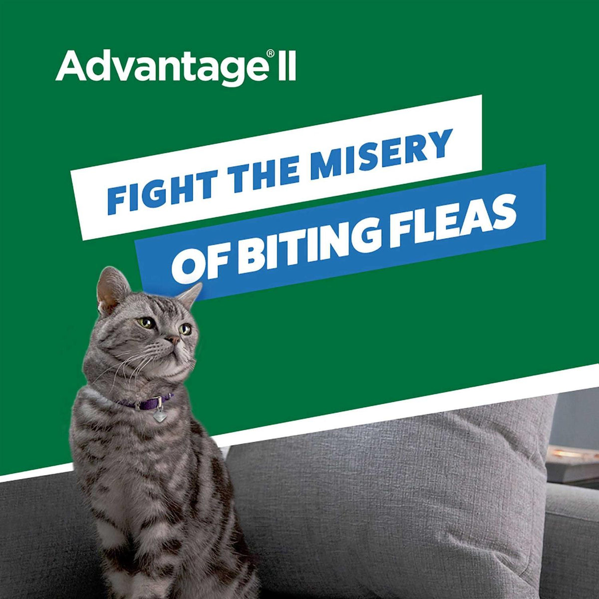 Flea Treatment Small Cats S914231