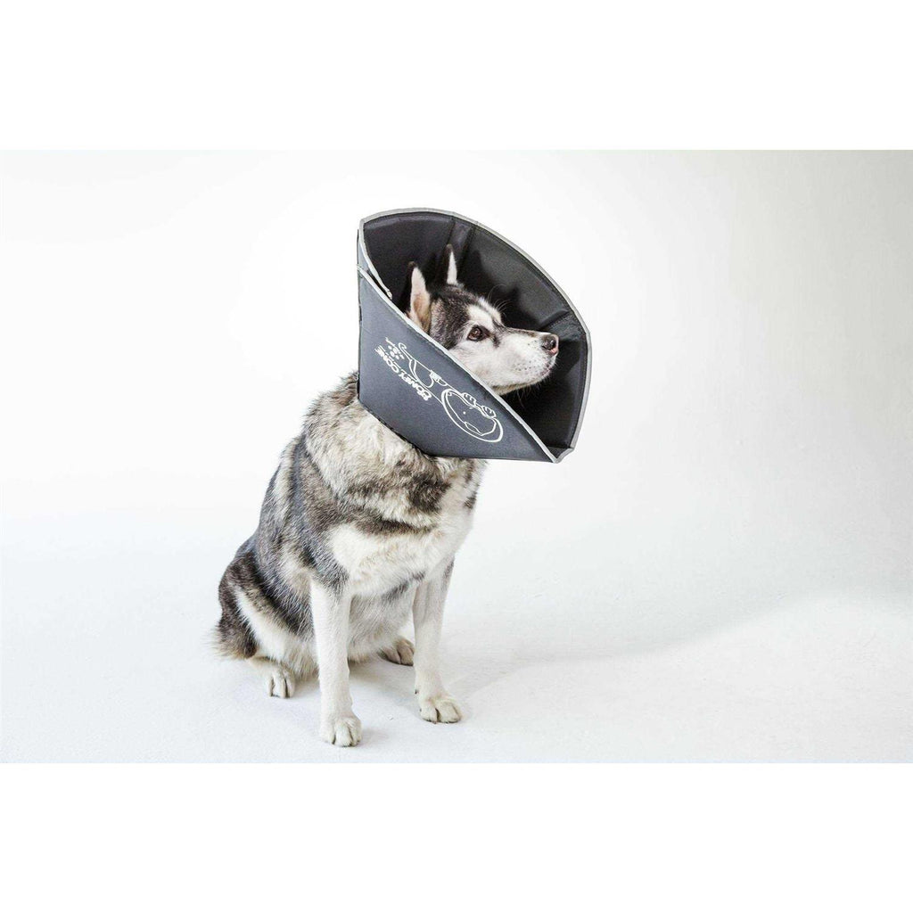 Comfy Cone Collar G21580
