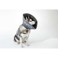 Comfy Cone Collar G21580