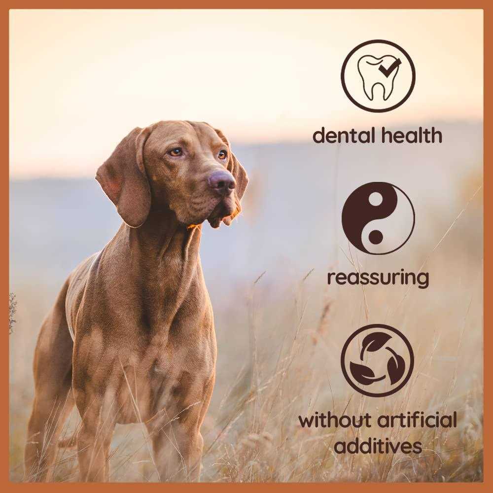 Chew Root for Dogs N617
