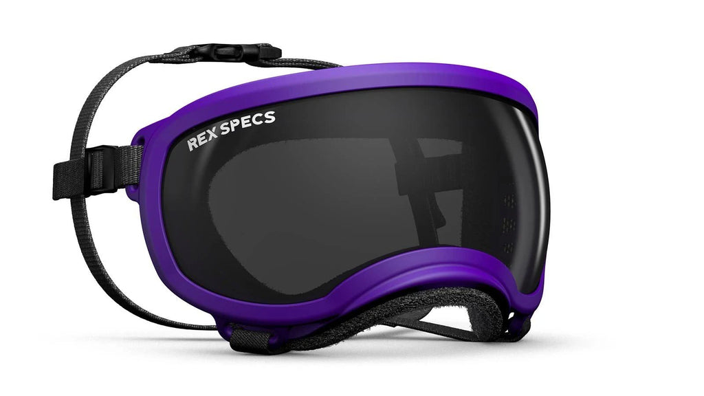 Small Goggle with 1 Clear & 1 Smoke D216
