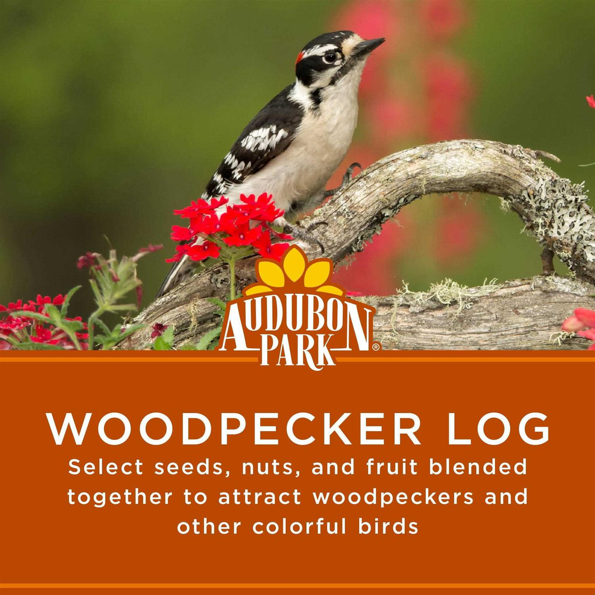 Woodpecker Snack Log Wild Bird Feed C63525