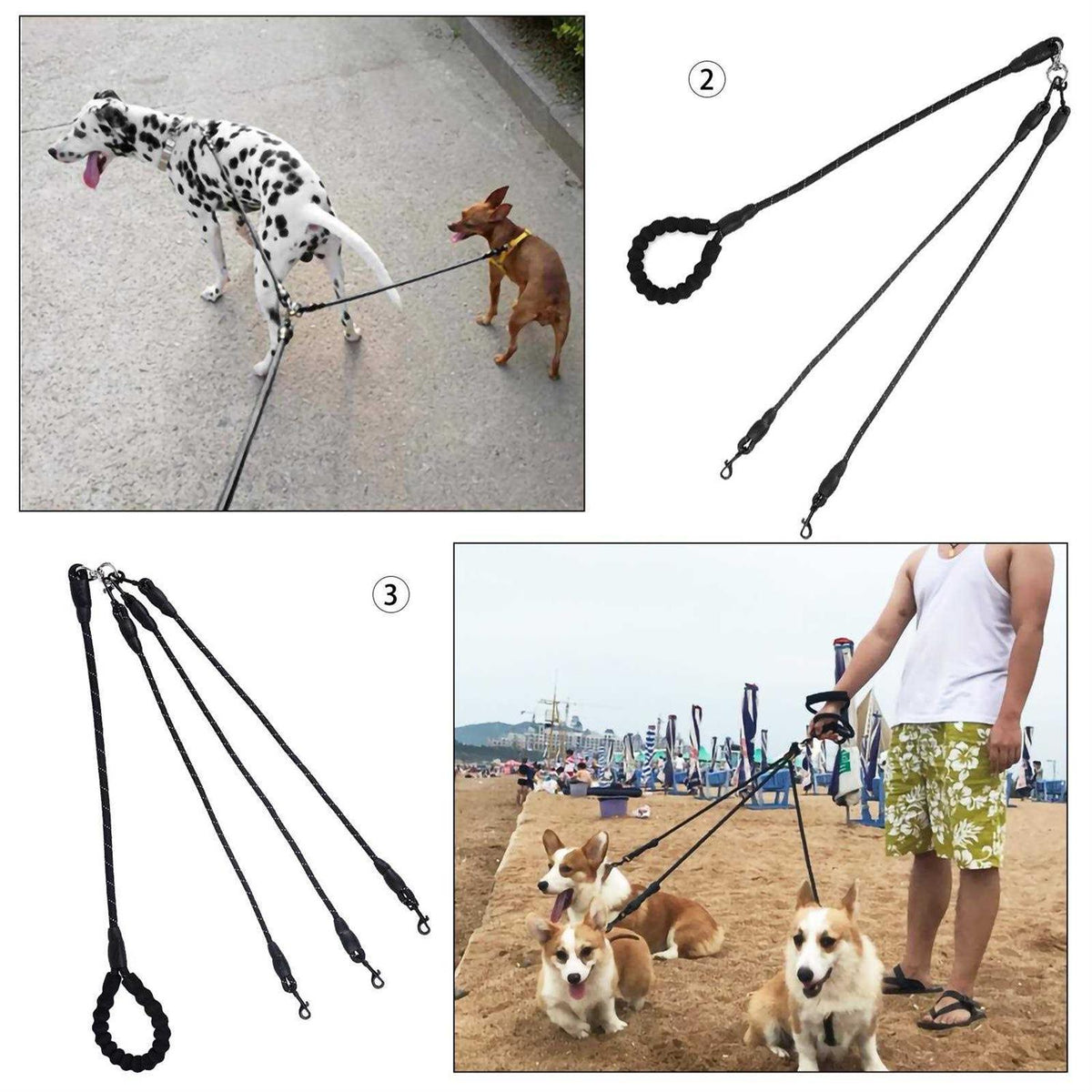 No Tangle Nylon Dog Leash I2643