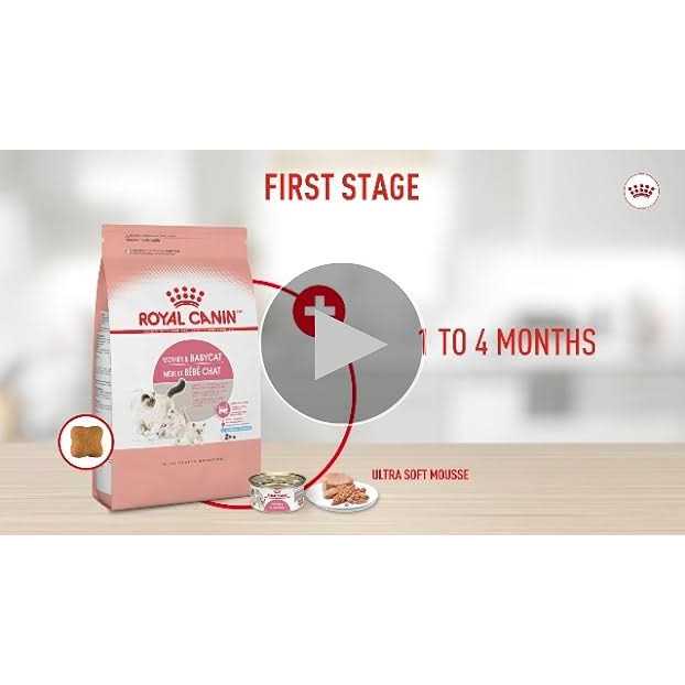 Mother & Babycat Ultra Soft Mousse P9773