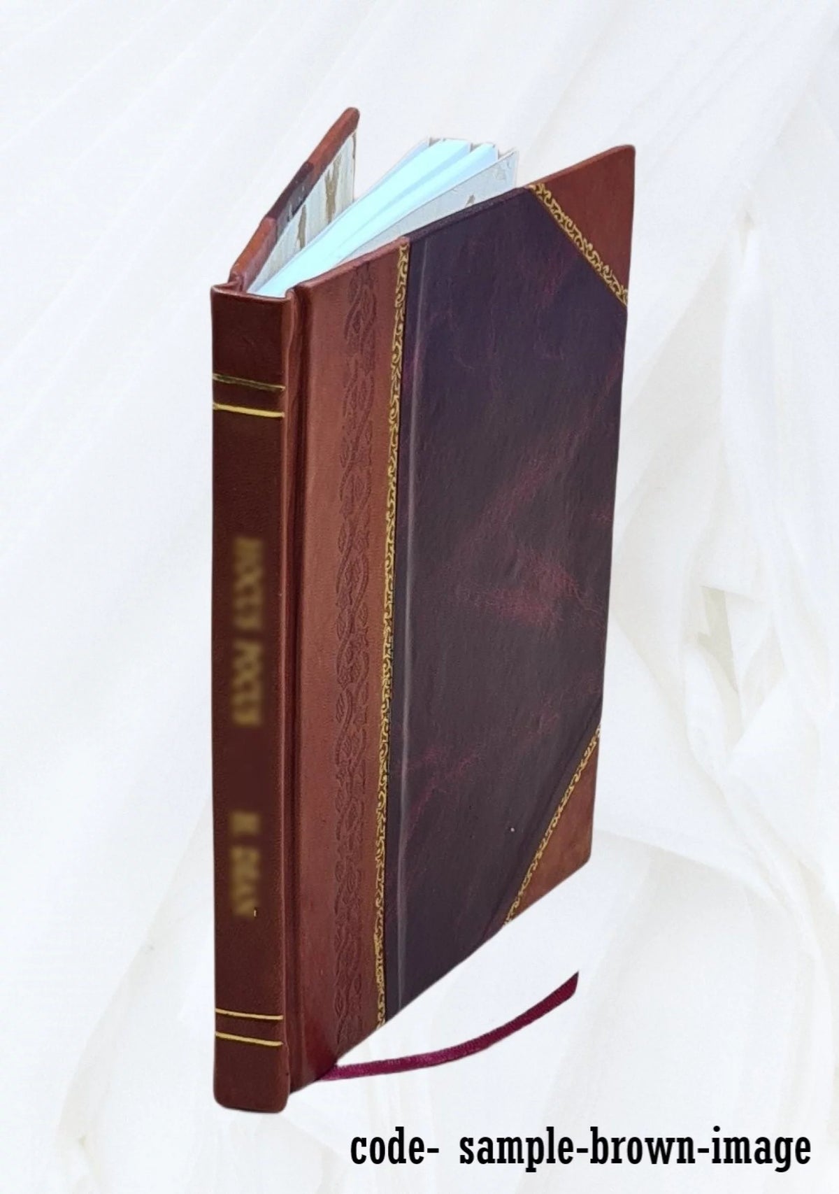 Leather Bound Volume Brief for Appellant E709740