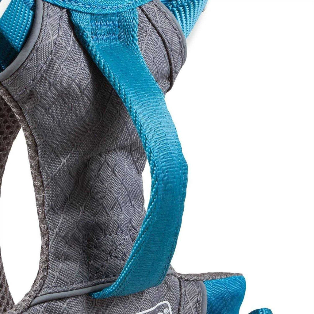 Dog Harness R43894