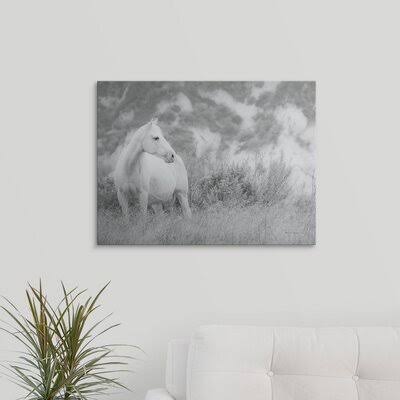 Canvas Photographic Print P2569