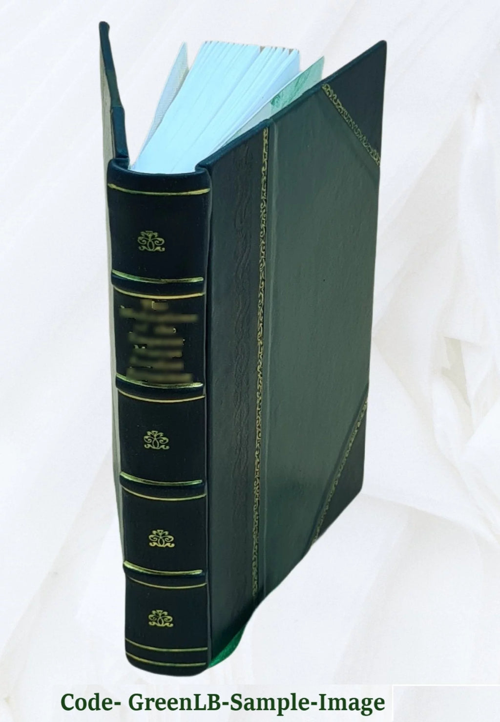 1904 Leather Bound S745040